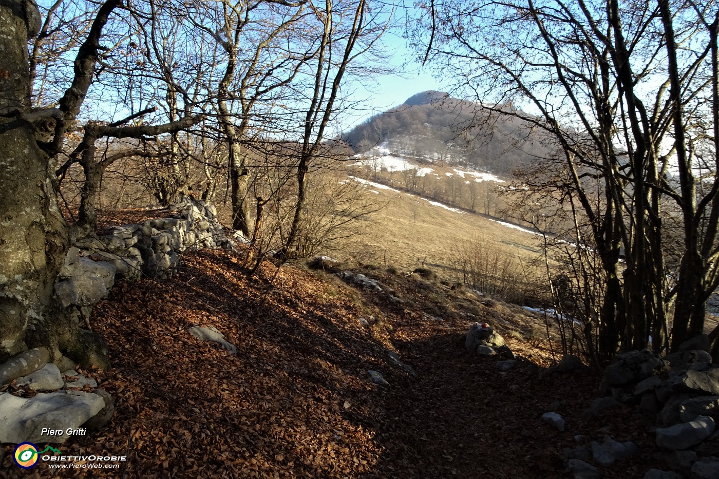 80 All'uscita dal bosco, lascio il sent. 571 e scendo il tratturo a dx.JPG